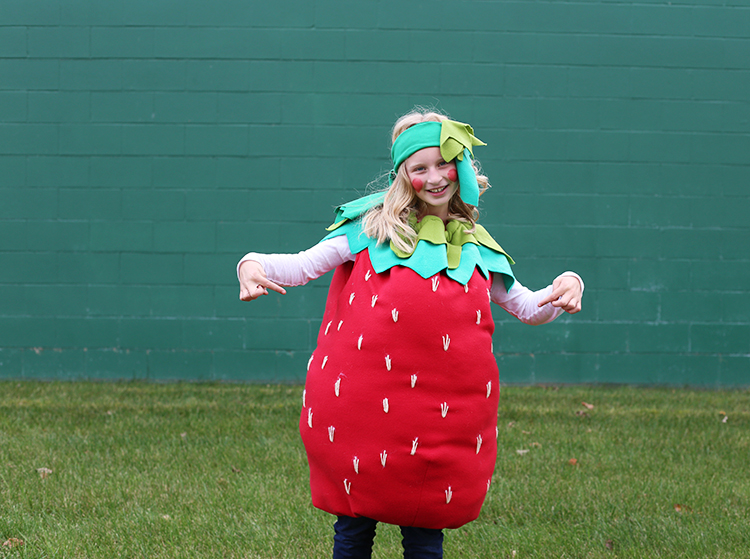 Strawberry Halloween Costume - Noodlehead