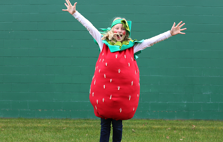 Strawberry Halloween Costume - Noodlehead